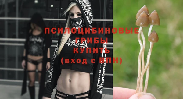 ALPHA PVP Армянск