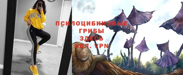 ALPHA PVP Армянск