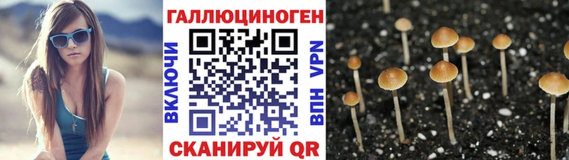 kraken ссылки  Спасск-Рязанский  Псилоцибиновые грибы мицелий 